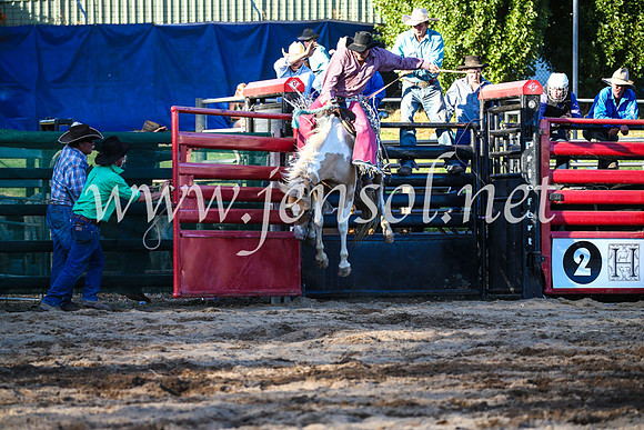 CoomaRodeo2017_3037