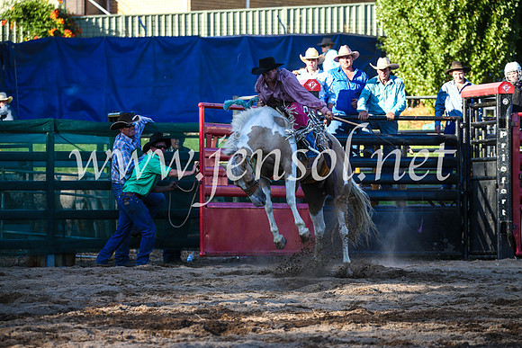 CoomaRodeo2017_3062