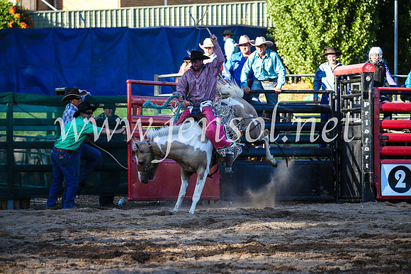 CoomaRodeo2017_3042