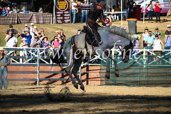 CoomaRodeo2017_2977
