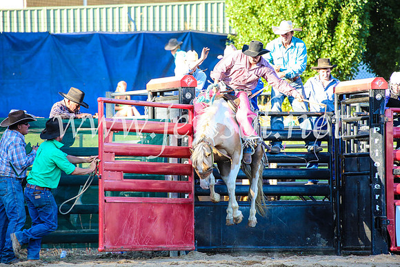 CoomaRodeo2017_5012