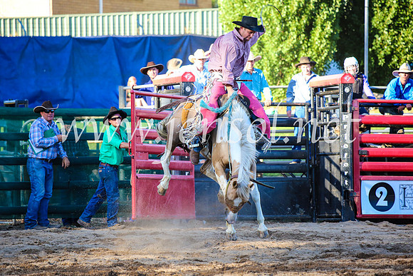 CoomaRodeo2017_5019