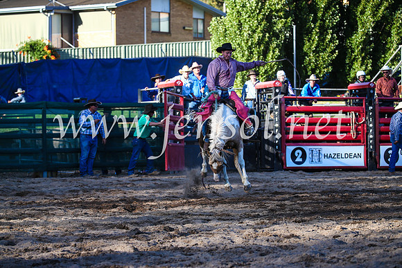 CoomaRodeo2017_3081