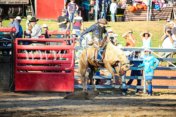 CoomaRodeo2017_5033