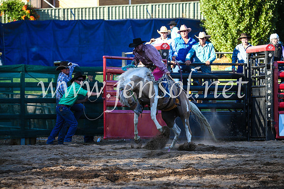 CoomaRodeo2017_3045