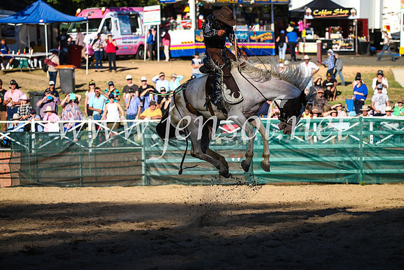 CoomaRodeo2017_2979