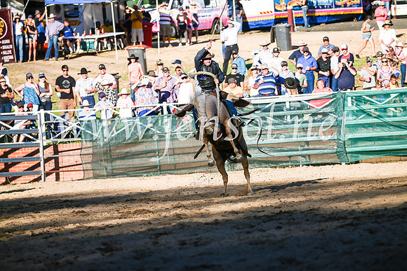 CoomaRodeo2017_3135