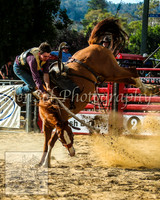 CoomaRodeo2014_1732