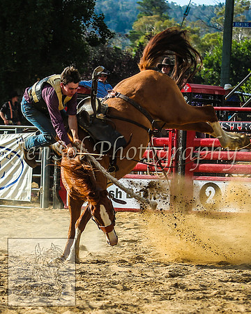 CoomaRodeo2014_1732