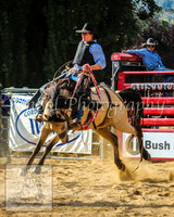 CoomaRodeo2014_1737