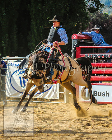 CoomaRodeo2014_1737