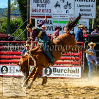 CoomaRodeo2014_1715