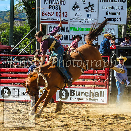 CoomaRodeo2014_1715