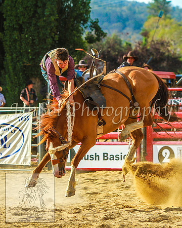 CoomaRodeo2014_KJS_0838