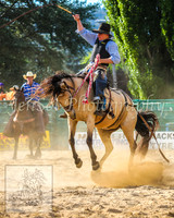 CoomaRodeo2014_1753