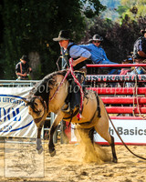 CoomaRodeo2014_1743