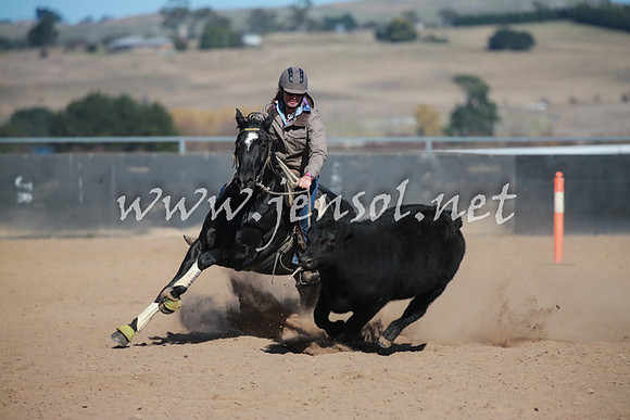 BungendoreCampdraft2016_5988