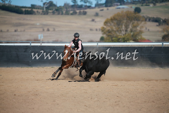 BungendoreCampdraft2016_6063