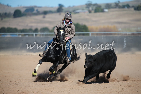 BungendoreCampdraft2016_5991