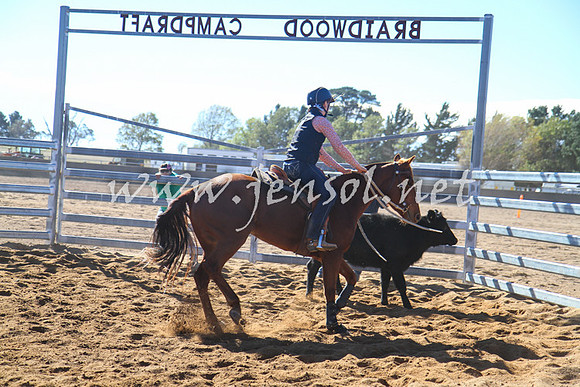 BungendoreCampdraft2016_6603