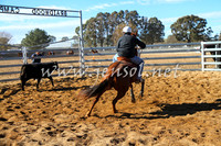 BungendoreCampdraft2016_6567