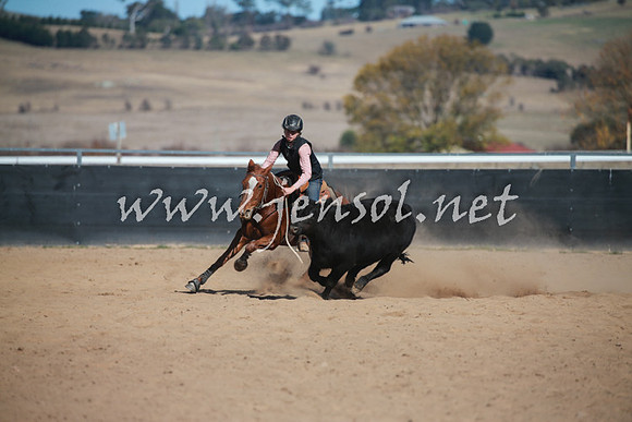 BungendoreCampdraft2016_6064