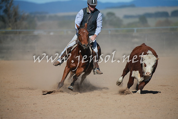 BungendoreCampdraft2016_6050