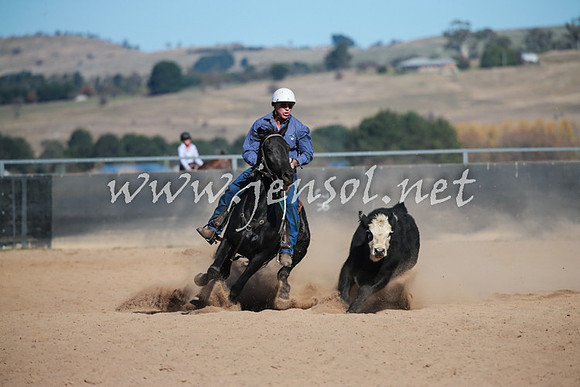 BungendoreCampdraft2016_6075