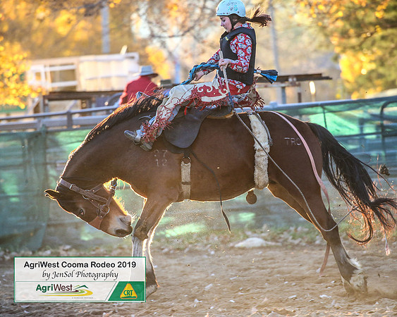 CoomaRodeo2019_2586