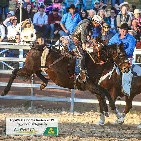 CoomaRodeo2019_2485