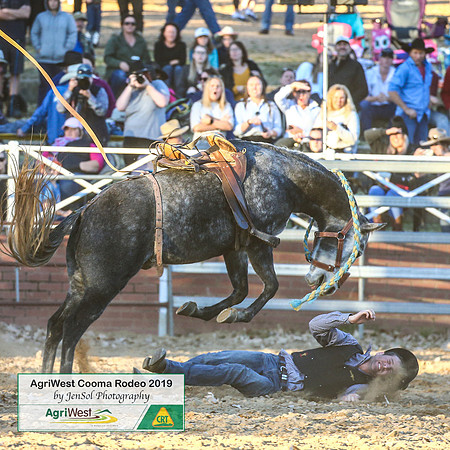 CoomaRodeo2019_2469