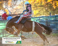 CoomaRodeo2019_2585
