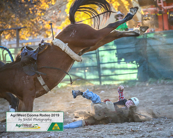 CoomaRodeo2019_2595