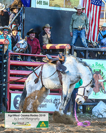 CoomaRodeo2019_2423