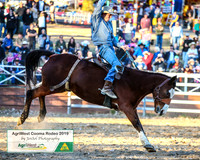 CoomaRodeo2019_2415