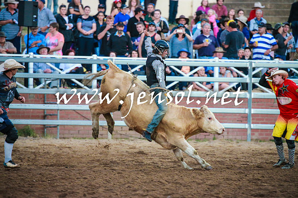 CoomaRodeo2016_2901