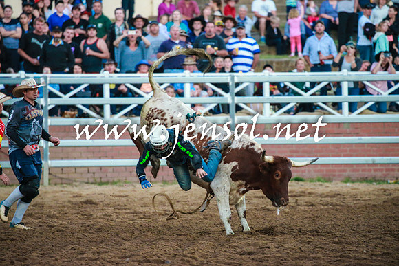 CoomaRodeo2016_2896