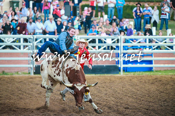 CoomaRodeo2016_2865