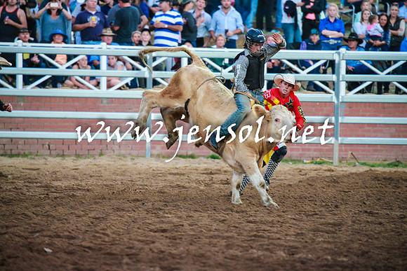 CoomaRodeo2016_2914