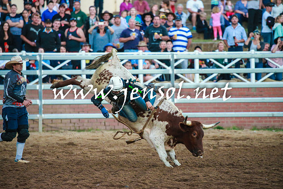 CoomaRodeo2016_2897