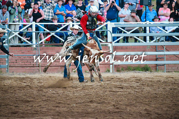 CoomaRodeo2016_2710
