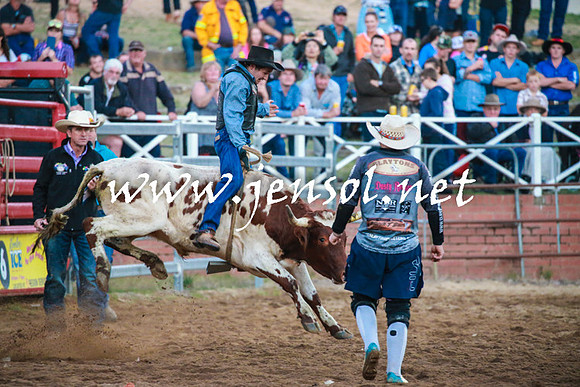 CoomaRodeo2016_2831