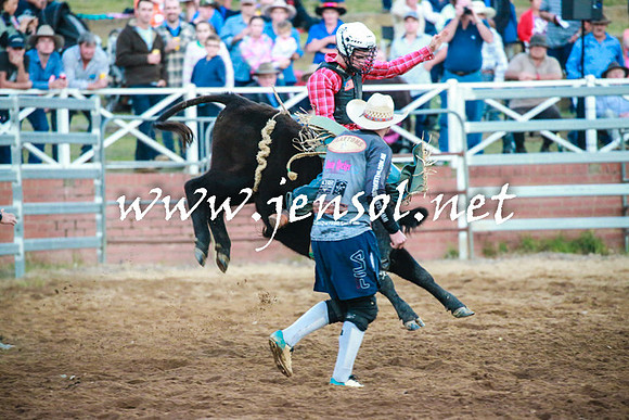 CoomaRodeo2016_2778