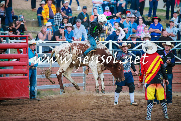 CoomaRodeo2016_2872