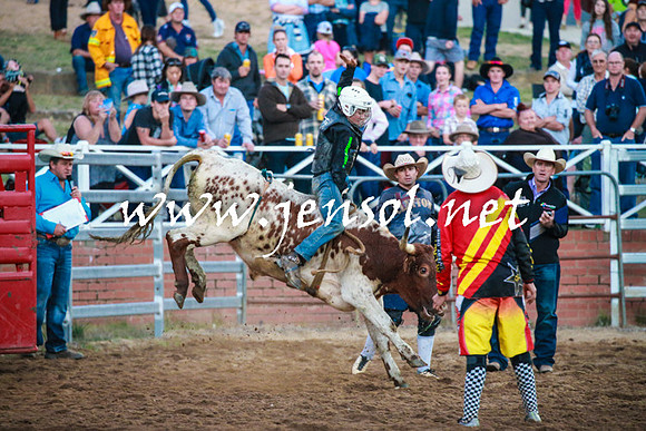 CoomaRodeo2016_2881