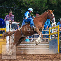 TaralgaRodeo2014_1434