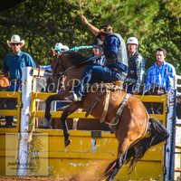 TaralgaRodeo2014_1194