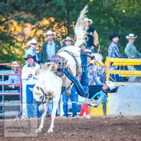 TaralgaRodeo2014_2023