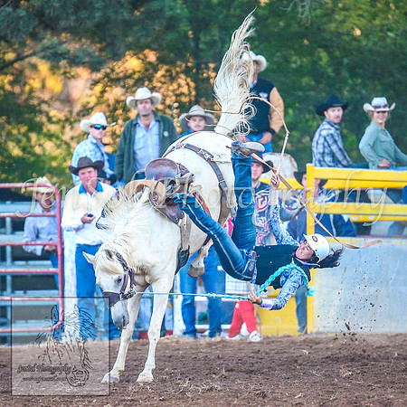 TaralgaRodeo2014_2023