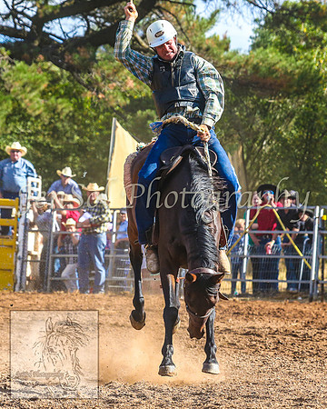 TaralgaRodeo2014_1341